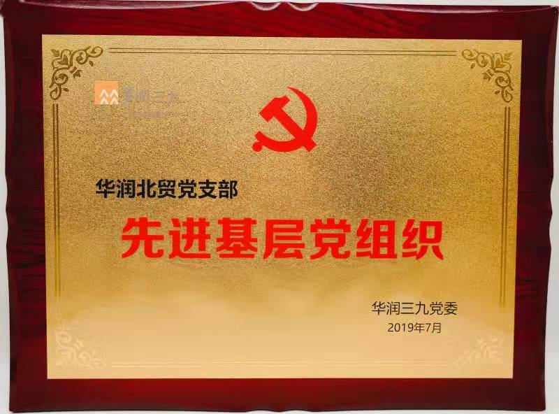2019年華潤北貿黨總支先進基層黨組織