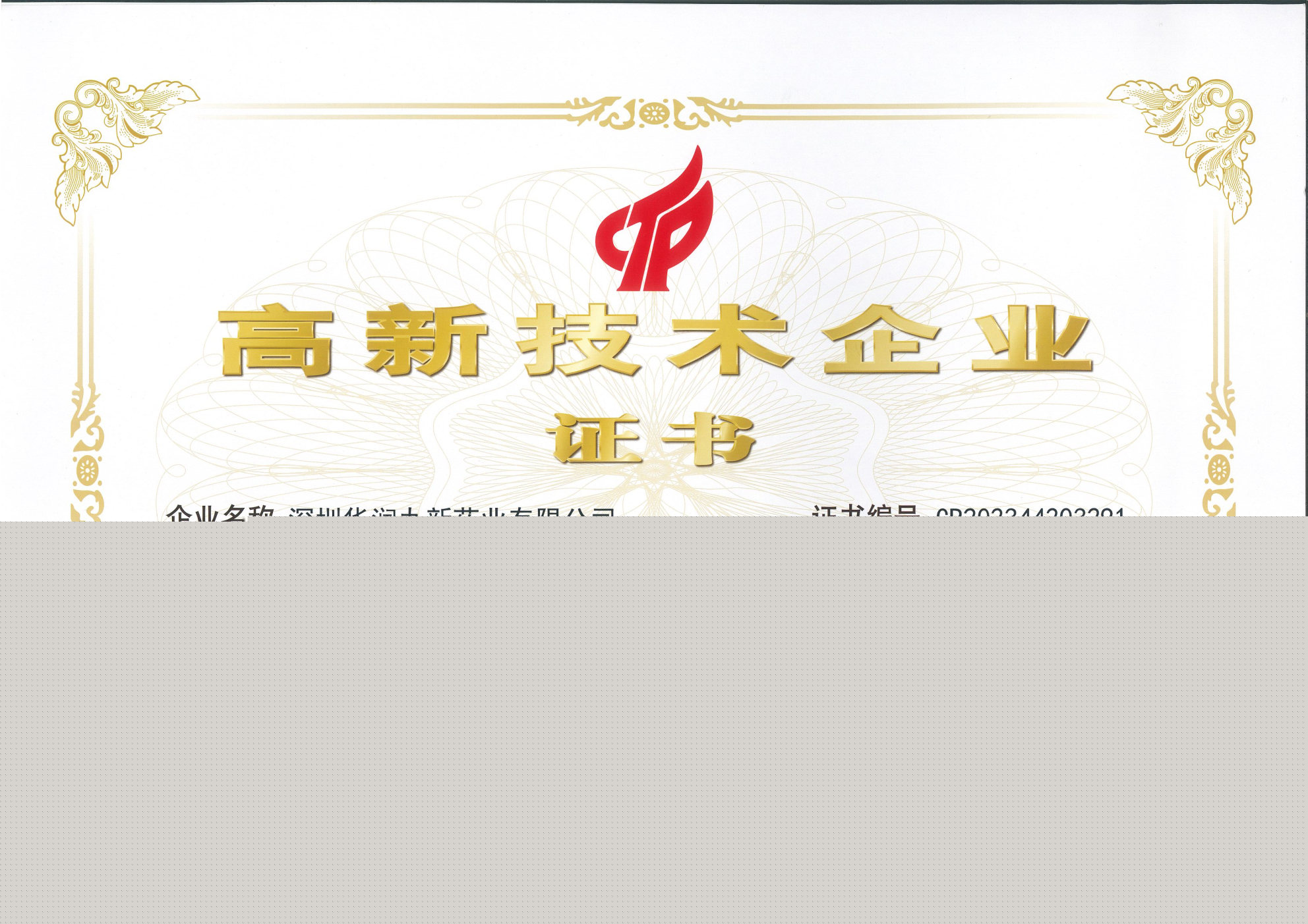 國家高新技術企業(yè)